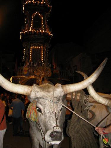 IMG 0185 (1)