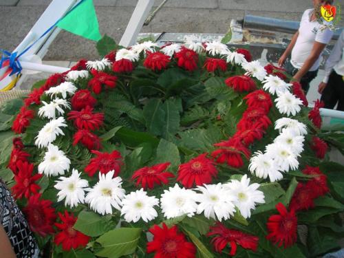 SANY0256 (1) (1) (1) (1)