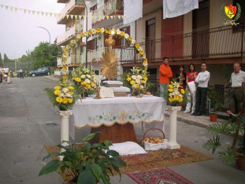 SANY0461